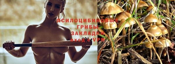 ECSTASY Балахна