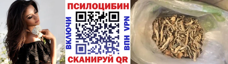 Галлюциногенные грибы MAGIC MUSHROOMS  как найти наркотики  Тимашёвск 